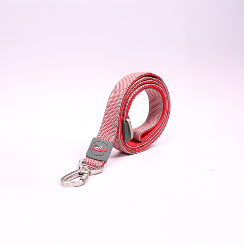 Skatrs Leash for Dogs and Cats (Red) S:11-14 in Neck