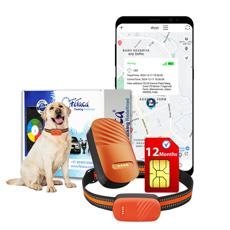 FeTaca Smart 4G GPS Tracker with Lifetime Free Tracking & 1 Year Data SIM Subscription for Dogs and Cats (Orange) 70g