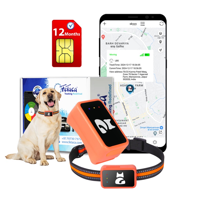 FeTaca Smart 4G GPS Tracker with Lifetime Free Tracking & 1 Year Data SIM Subscription for Dogs and Cats (Orange) 30g