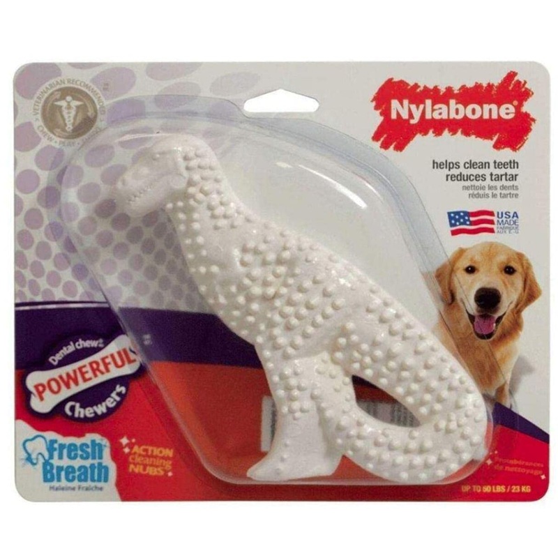 1 Pack Nylabone Durable Dental Dinosaur Chew Toy (Dinosaur Shape Varies), Large