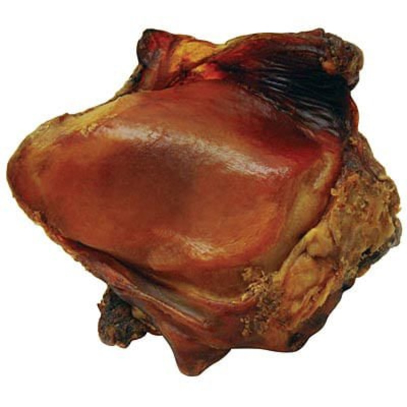 Beef Knee Caps Dog Chew Treats Single